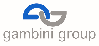 Gambini group