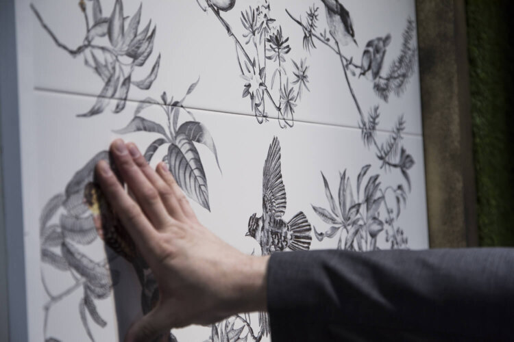 Avastage veneto galapagose keraamiliste plaatide maailm: innovatiivne seinakate, mis toob looduse teie koju
