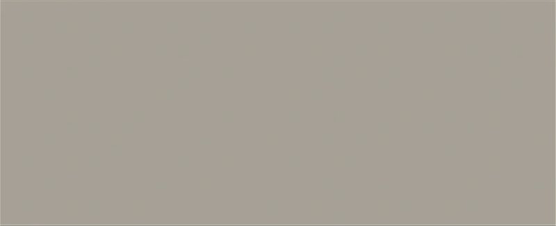 Ceramic wall tile matte grey 10x30 vipex